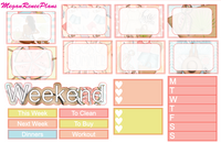Summer Days Weekly Kit for the Classic Happy Planner - MeganReneePlans