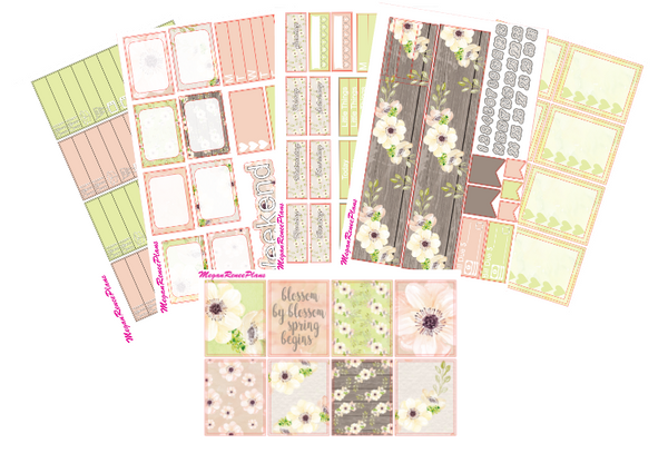 Blossom Weekly Kit for the Classic Happy Planner - MeganReneePlans