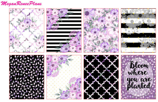 Purple Bloom - FULL BOXES ONLY - MeganReneePlans